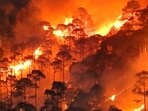 Raging forest fires in Nainital district. (Representational)