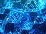 Environmental DNA or eDNA is an approach where researchers collect environmental samples such as a scoopful of soil, a pail of water or a handful of air from an ecosystem Environmental DNA or eDNA is an approach where researchers collect environmental samples such as a scoopful of soil, a pail of water or a handful of air from an ecosystem