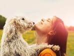 It's important to remember that feeling guilty is a common experience among pet owners, but it's also crucial to address these feelings in a healthy way It's important to remember that feeling guilty is a common experience among pet owners, but it's also crucial to address these feelings in a healthy way