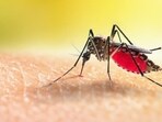 World Malaria Day 2022: Yoga asanas to relieve symptoms of fever World Malaria Day 2022: Yoga asanas to relieve symptoms of fever