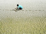A youth scouts around for mud crabs and snakehead fish as he walks on the parched bed of Chembarambakkam lake on the outskirts of Chennai. (AFP)