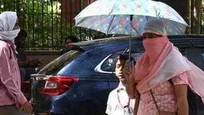 A heatwave is declared in plains when the maximum temperature is over 40°C. (HT file image)