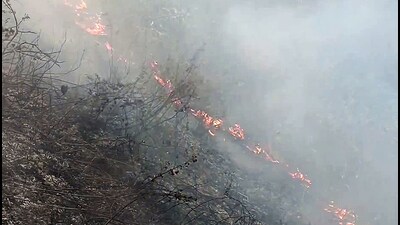 A view of the fire caught in the forest in Nainital on Saturday. (ANI) A view of the fire caught in the forest in Nainital on Saturday. (ANI)