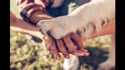 Animal-assisted therapy is rooted in the bond that can develop between people and animals. (Shutterstock) Animal-assisted therapy is rooted in the bond that can develop between people and animals. (Shutterstock)