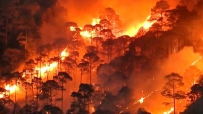 Raging forest fires in Nainital district. (Representational) (HT file photo) Raging forest fires in Nainital district. (Representational) (HT file photo)