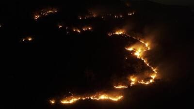 The FSI data shows that close to 80% of the forest fires in April started after middle of the month. (ANI) The FSI data shows that close to 80% of the forest fires in April started after middle of the month. (ANI)