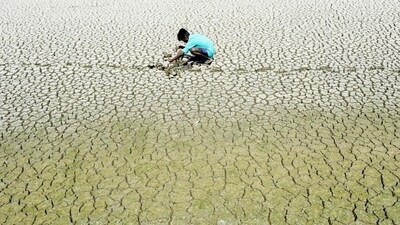 A youth scouts around for mud crabs and snakehead fish as he walks on the parched bed of Chembarambakkam lake on the outskirts of Chennai. (AFP) A youth scouts around for mud crabs and snakehead fish as he walks on the parched bed of Chembarambakkam lake on the outskirts of Chennai. (AFP)
