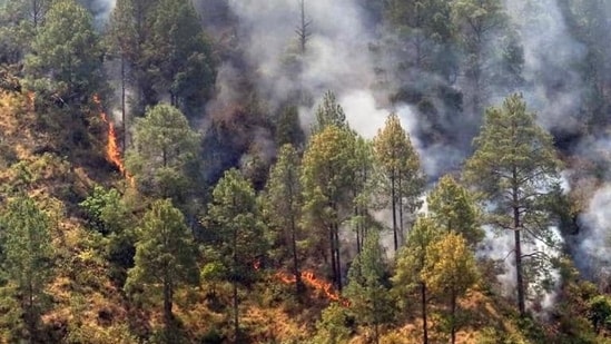 A forest fire in Uttarakhand. (HT File Photo)