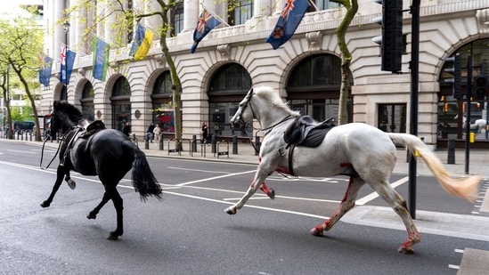 Two horses on the loose bolt through the streets of London. (AP)
