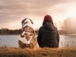 As we celebrate the joy and companionship our furry friends bring, it's also a time to reflect on the responsibilities of pet ownership. As we celebrate the joy and companionship our furry friends bring, it's also a time to reflect on the responsibilities of pet ownership.
