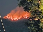 A fire rages in the Ranibagh area of Nainital district. (PTI)