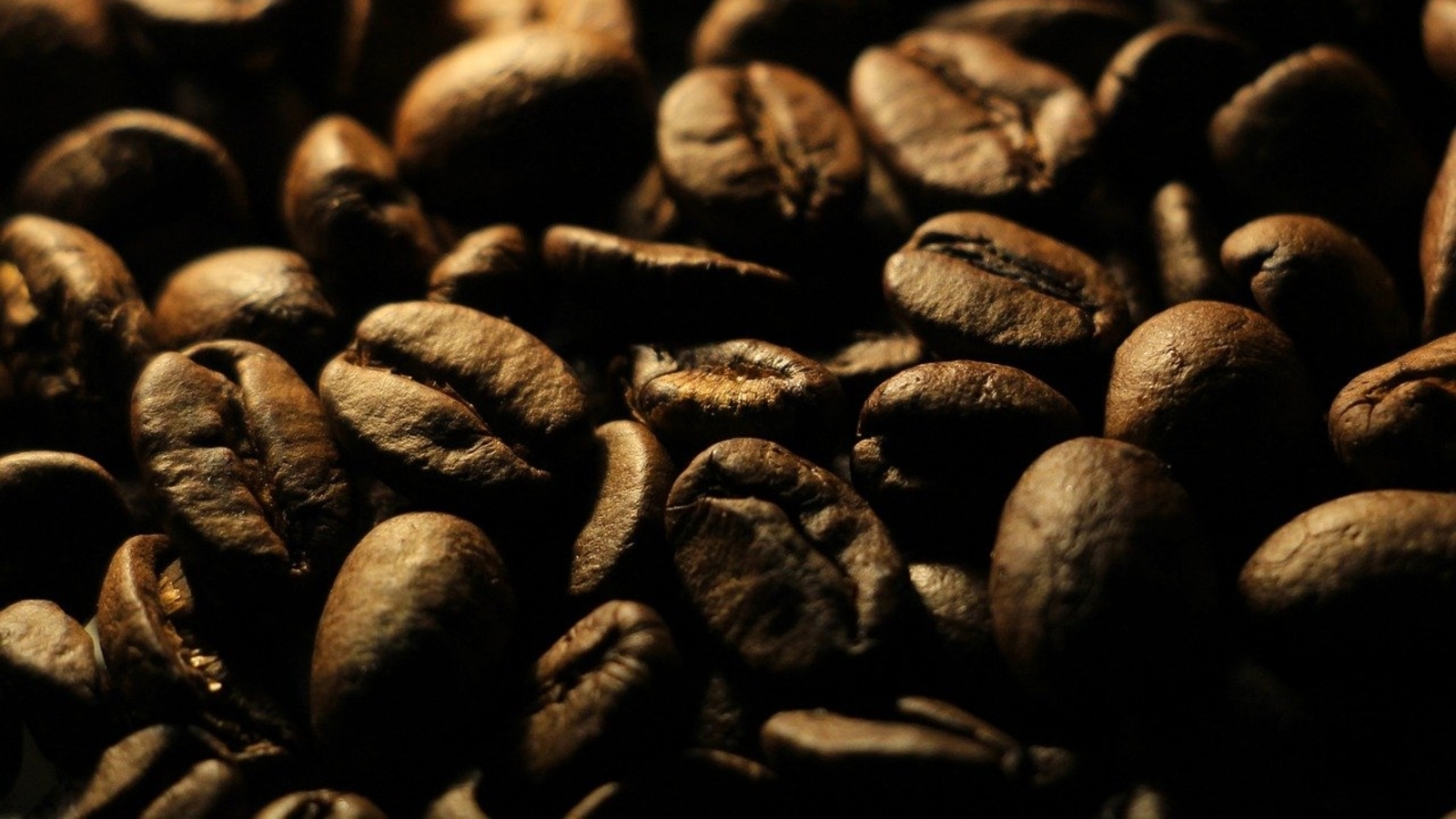 Can scientists save your morning cup of coffee? - Vimarsana News