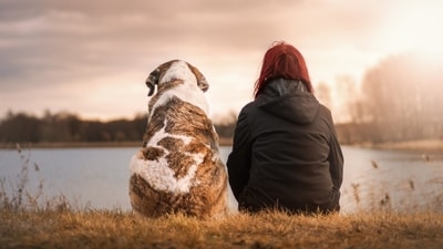 As we celebrate the joy and companionship our furry friends bring, it's also a time to reflect on the responsibilities of pet ownership. (Pixabay) As we celebrate the joy and companionship our furry friends bring, it's also a time to reflect on the responsibilities of pet ownership. (Pixabay)
