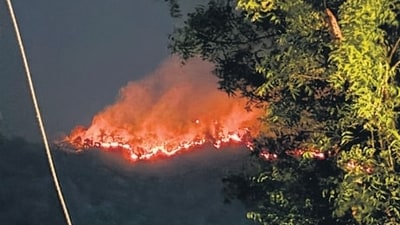 A fire rages in the Ranibagh area of Nainital district. (PTI) A fire rages in the Ranibagh area of Nainital district. (PTI)