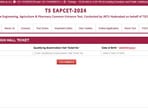 TS EAMCET Hall Ticket 2024 Live Telangana TSCHE EAPCET admit card released. (eapcet.tsche.ac.in, screenshot)