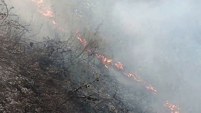 The Indian Army and Air Force helicopters are also assisting in controlling forest fires in the state. (HT_PRINT) The Indian Army and Air Force helicopters are also assisting in controlling forest fires in the state. (HT_PRINT)