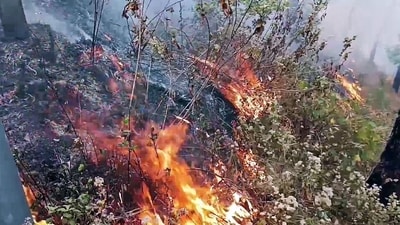 Uttarakhand CM Pushkar Singh Dhami said, "We are asking for help from all the institutions including the Indian Army. The locals are also being asked to cooperate towards dousing the fire. The responsibility of the officers found responsible in this will also be fixed." (ANI) Uttarakhand CM Pushkar Singh Dhami said, "We are asking for help from all the institutions including the Indian Army. The locals are also being asked to cooperate towards dousing the fire. The responsibility of the officers found responsible in this will also be fixed." (ANI)