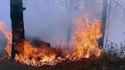 Earlier, Uttarakhand Chief Minister Pushkar Singh Dhami held a review meeting to discuss the forest fire situation with the Kumaon Division officials on Saturday and issued directives to combat the wildfire in the region. (ANI) Earlier, Uttarakhand Chief Minister Pushkar Singh Dhami held a review meeting to discuss the forest fire situation with the Kumaon Division officials on Saturday and issued directives to combat the wildfire in the region. (ANI)