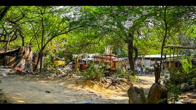 Out of the 340, at least 228 cases are pending in courts at different levels including district, high courts and the Supreme Court. Whereas the remaining 112 cases are either pending inquiry by the range forest officer or assistant conservator of forests. (HT PHOTO) Out of the 340, at least 228 cases are pending in courts at different levels including district, high courts and the Supreme Court. Whereas the remaining 112 cases are either pending inquiry by the range forest officer or assistant conservator of forests. (HT PHOTO)