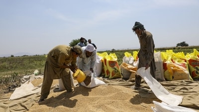 Pakistan inflation: The price of a kilo of flour now stands at 800 Pakistani rupees (PKR), compared to the previous price of 230 PKR. (File) (Bloomberg) Pakistan inflation: The price of a kilo of flour now stands at 800 Pakistani rupees (PKR), compared to the previous price of 230 PKR. (File) (Bloomberg)