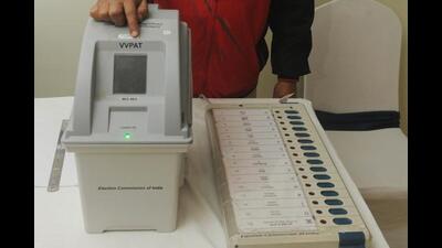 The Election Commission (EC) will provide alternative facility of voting from home to disabled persons having 40% or more disability and senior citizens above 85. (HT File)
