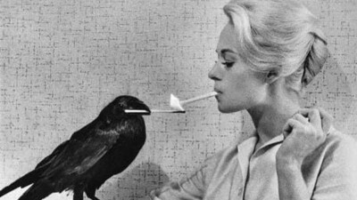 Tippi Hedren takes a raven's help to light a cigarette on the sets of Alfred Hitchcock's The Birds. Tippi Hedren takes a raven's help to light a cigarette on the sets of Alfred Hitchcock's The Birds.