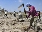 Charitable Initiatives: Some organizations and communities use Labour Day as an opportunity to organize charitable initiatives, such as food drives, clothing donations, or volunteer activities to support underprivileged workers and their families.