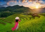 From a cultural immersion to scenic, tranquil relaxation, there's a lot to be seen and savoured in Vietnam, making it a top summer holiday destination (Shuttertstock)