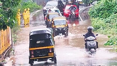 Environmentalists have highlighted several times that the depot plot is functionally the only remaining floodplain of the Mithi River in Aarey Colony, a position which has been contested by the Mumbai Metropolitan Rail Corporation Ltd. (MMRCL). The interaction of the river with this open space is crucial for the survival of this ecosystem, and to prevent flooding in other parts of the city. (HT PHOTO) Environmentalists have highlighted several times that the depot plot is functionally the only remaining floodplain of the Mithi River in Aarey Colony, a position which has been contested by the Mumbai Metropolitan Rail Corporation Ltd. (MMRCL). The interaction of the river with this open space is crucial for the survival of this ecosystem, and to prevent flooding in other parts of the city. (HT PHOTO)