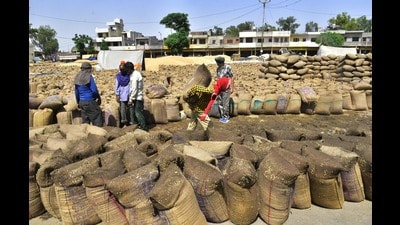 Labourers move sacks of paddy grain after a rainfall at a Bhagtanwala grain market in Amritsar on Tuesday. (Sameer Sehgal/HT)