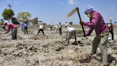 Charitable Initiatives: Some organizations and communities use Labour Day as an opportunity to organize charitable initiatives, such as food drives, clothing donations, or volunteer activities to support underprivileged workers and their families. (PTI) Charitable Initiatives: Some organizations and communities use Labour Day as an opportunity to organize charitable initiatives, such as food drives, clothing donations, or volunteer activities to support underprivileged workers and their families. (PTI)
