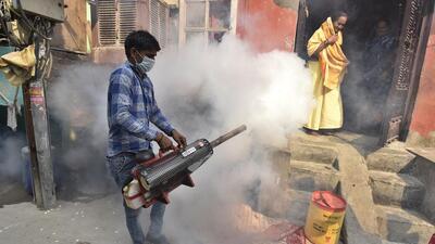 MCD officials said around 4,600 workers are undertaking anti-mosquito drives. (HT Archive) MCD officials said around 4,600 workers are undertaking anti-mosquito drives. (HT Archive)