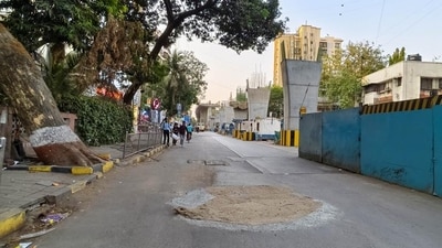 Mumbai, India. April 29, 2024: Local authorities cut down a 300-year-old Baobab tree on Swami Vivekanand Road (S V Road) in Santacruz, Mumbai. April 29,2024. (Photo by Raju Shinde/HT Photo)