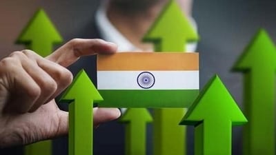 Indian Growth (Representative Image) Indian Growth (Representative Image)