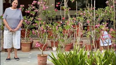 Neera Chopra feels most possessive about her collection of adeniums. (HT Photo) Neera Chopra feels most possessive about her collection of adeniums. (HT Photo)