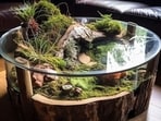 Take your worries away: How Zen garden can become your daily dose of mindfulness Take your worries away: How Zen garden can become your daily dose of mindfulness