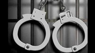 Burglars form human pyramid to break into house, arrested