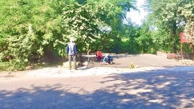 Around three to four metre wide and 300 to 400 metre long cemented road has been built at the start of the Surajpur chowk on Surajpur-Dadri road. The construction has been developed by felling around 100 trees and shrubs in the area, said environmentalists. (HT Photo) Around three to four metre wide and 300 to 400 metre long cemented road has been built at the start of the Surajpur chowk on Surajpur-Dadri road. The construction has been developed by felling around 100 trees and shrubs in the area, said environmentalists. (HT Photo)