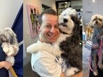 US House members formed "Dog Lovers Caucus" with the goal of promoting harmony among the men and women who appreciate man's best friend. US House members formed "Dog Lovers Caucus" with the goal of promoting harmony among the men and women who appreciate man's best friend.