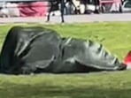 Couple under a blanket at an NYC park. Couple under a blanket at an NYC park.