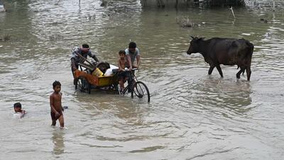 Large swathes of land were inundated during the floods in Delhi in July, 2023. (HT File) Large swathes of land were inundated during the floods in Delhi in July, 2023. (HT File)