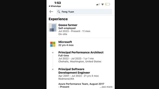 Man Fired From Microsoft After 22 Years Becomes A Goose Farmer 