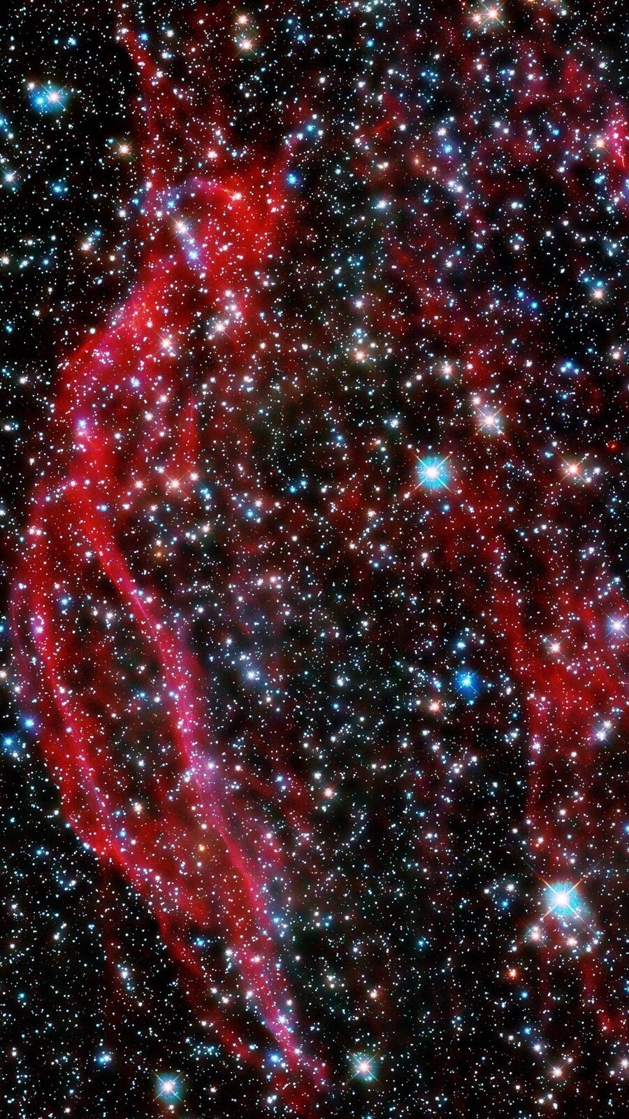 51627753600_2904c6a4a5_k