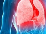 The Centers for Disease Control and Prevention states that tuberculosis is a dangerous disease that typically affects the lungs. The Centers for Disease Control and Prevention states that tuberculosis is a dangerous disease that typically affects the lungs.