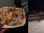 Plate of food held by an individual (left) and stray dog running beside the train on the platform (right). Plate of food held by an individual (left) and stray dog running beside the train on the platform (right).