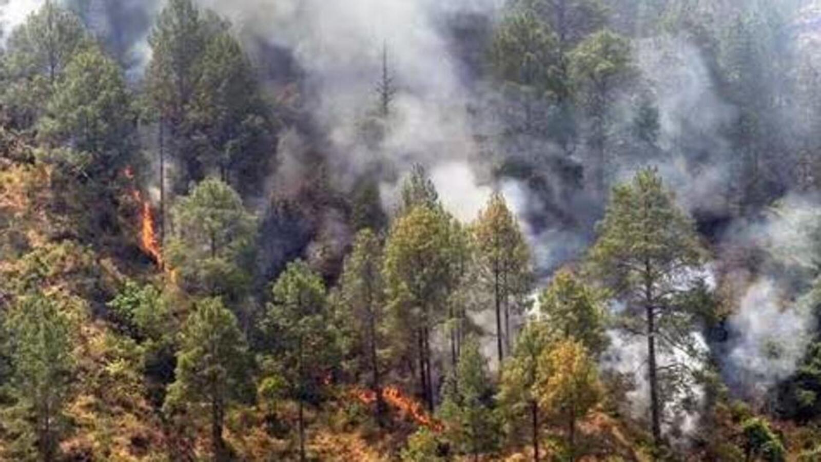 In first deaths in Uttarakhand forest fires, two labourers killed in Almora - Vimarsana News