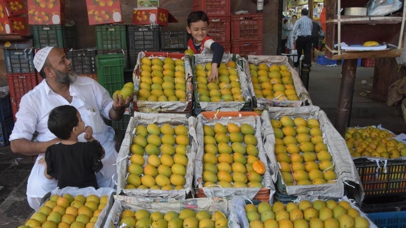 Why Alphonso mango season ends early in Ratnagiri? - Vimarsana News