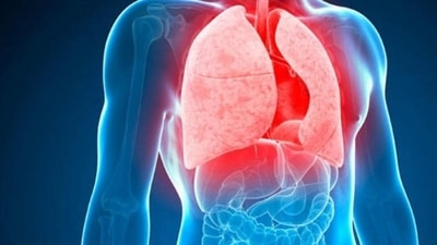 The Centers for Disease Control and Prevention states that tuberculosis is a dangerous disease that typically affects the lungs. The Centers for Disease Control and Prevention states that tuberculosis is a dangerous disease that typically affects the lungs.