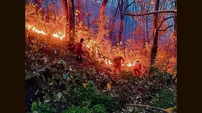 NDRF personnel try to douse a fire that broke out in the forest of Nainital district on Monday. (PTI) NDRF personnel try to douse a fire that broke out in the forest of Nainital district on Monday. (PTI)