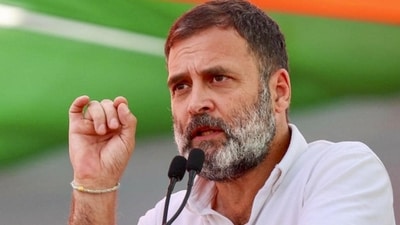 Rahul Gandhi (File Photo) Rahul Gandhi (File Photo)